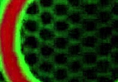 watch sara jay finger her plump milf pussy in heels till she cums