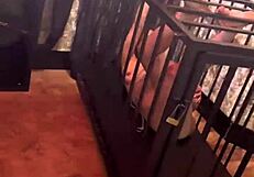 Tortured latina pornstar couple endures humiliating sado azotes handjob pov