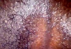 Mzansi Teen's Tight Anal Hole Fingered Hard in Homemade Solo Session