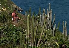 i join beautiful beach threesome riding cocks