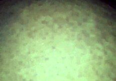 i treasure these homemade amateur moments