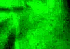 oh man, check out this coroatransgaucha shemale crossdressing action getting wild!