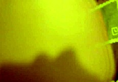 craving tlalpan escort tonight?