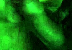 oh man, check out this coroatransgaucha shemale crossdressing action getting wild!