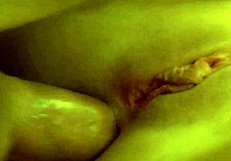 Alysha Rylee Delivers Sloppy Blowjob Before Cowgirl Riding and Creampie Fuck