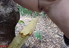 perverted bbw milf slut impales pussy on wooden stake squirting piss in forest