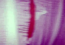 i treasure these homemade amateur moments