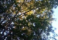 Adventurous Caucasian Thickie Girlfriend Sex Journey with Friend Unfolds