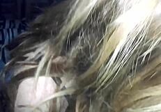 Long haired blonde sucks my cock then bends for doggystyle pounding?
