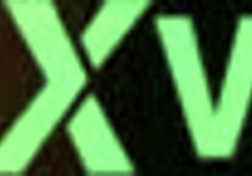 what secrets hide beneath those clinging wet panties waiting to be discovered?