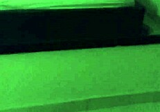 Latina Craves Hair-Yank Fucks