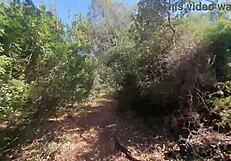 outdoor camper bent over for huge creampie in public forest