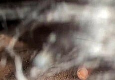 Indian maid begs endless fucking over work in viral desi MMS