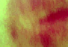 Diana Elizabeth Terrones Lazcano Gets Cute Anal Creampie from Ex