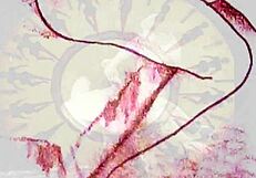 i love these old erotic art pieces from vintage days