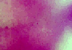 Diana Elizabeth Terrones Lazcano Gets Cute Anal Creampie from Ex