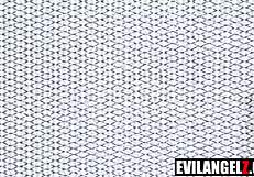 hey jane wilde, your ass gapes wide open for hollywood cash