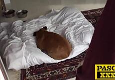 Mature slut punished hard in garage for noise 😈 big tits ass roughly fucked!