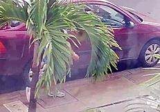 Neighbor Slut in Shorts Begs for Hard Fuck