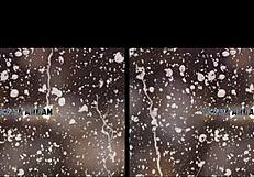 Busty Babe Suggests Golden Piss Soak