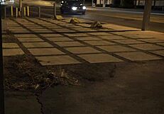 Stranded Amateur Teen Bound Bent Over Roughfucked Outdoors Publicly