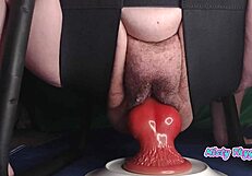 I love watching BBW Misty's thick thighs bounce on that huge creamy shaft