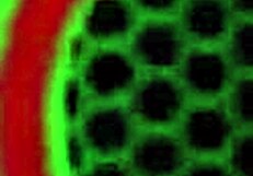 sara jay fucks jessica raynes' cunt... PLEASURING HER REALLY HARD now