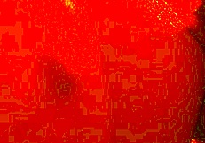 This toy clit licker hits my wet pussy like a real tongue honeyplaybox magic!