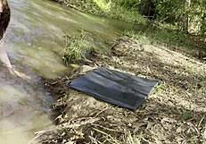 Loira do Job bends over in woods for bareback creampie from client