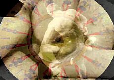 vintage erotic art showcases retro hairy beaver beauty