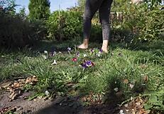 Barefoot toes tease and crush flowers across the grassy ranch