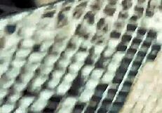 i'm at the dentist but this slutty webcam fingering feels too good