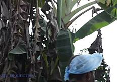 mad bbw me pickin bin dirt n fucked lonely no-wife guy