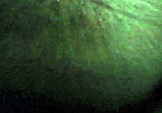 Juicy Ass and Pussy Grind Fat Cock Hard