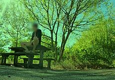 sexy amateurs flash natural tits in public outdoor shorts picnic