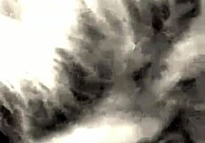 hey check out this milf handling that huge white cock so well