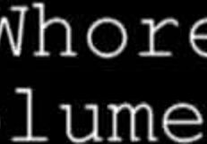 Virginia's Anal Puke Whore Audition Shocks Everyone