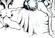 Vintage erotic drawings of hairy beavers and pussies