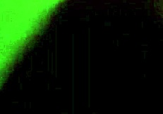 Holy fuck she's slurping that massive monster cock like a hungry slut!