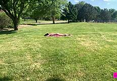 dakota marr deepthroats sunbathing spy creep pov