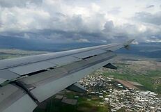 girl, flashing your cute pigtails pussy in airplane got me cumming fast public pov?