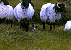 26 Edenists Champion Handmade Objects in Tate Modern Group Exhibition