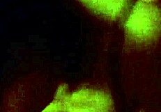 josh mccurdy and laqueeda enjoy a casual group hangout