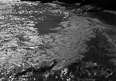 wow dis vintage art collection retro antique style so cool!!