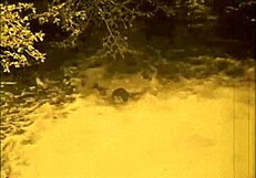 wow dis vintage art collection retro antique style so cool!!