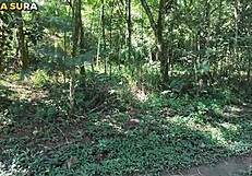 Skinny Blonde Teen Alone In Woods What Do Anal Pussy Fuck Comment?