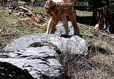 caught my cute petite doctor girlfriend blowing me then fucking missionary outside hospital