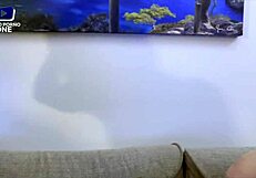 wanna join my two busty neighbors for wild lingerie orgy?