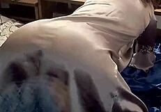 french amateur teases satin panties closeup