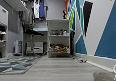 Maisie Lewis shoplifts then sucks huge cock as punishment